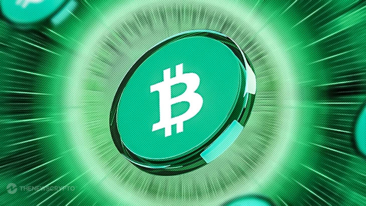 Bitcoin Cash: Ваш ключ к эффективному будущему криптовалюты